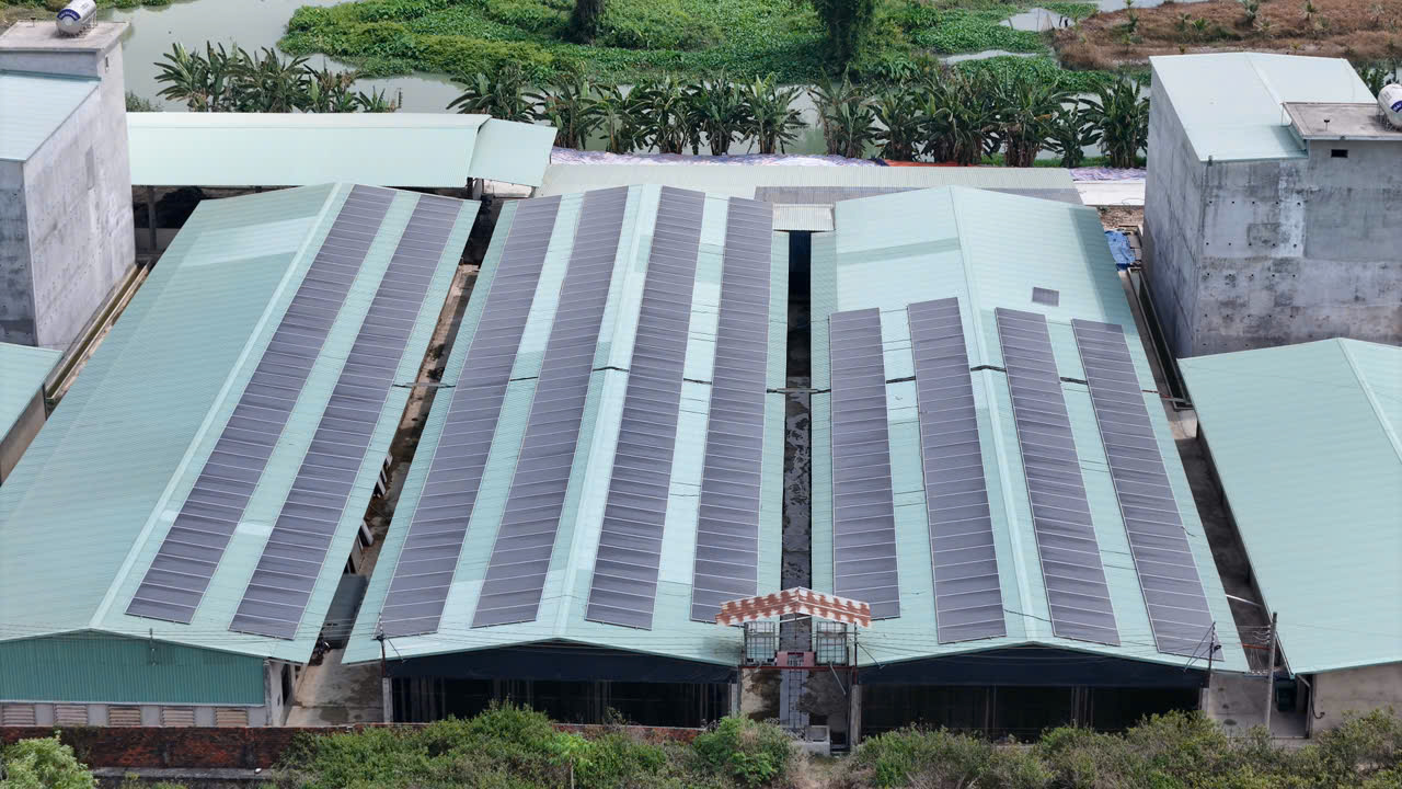 FARM ĐÔN THUẬN